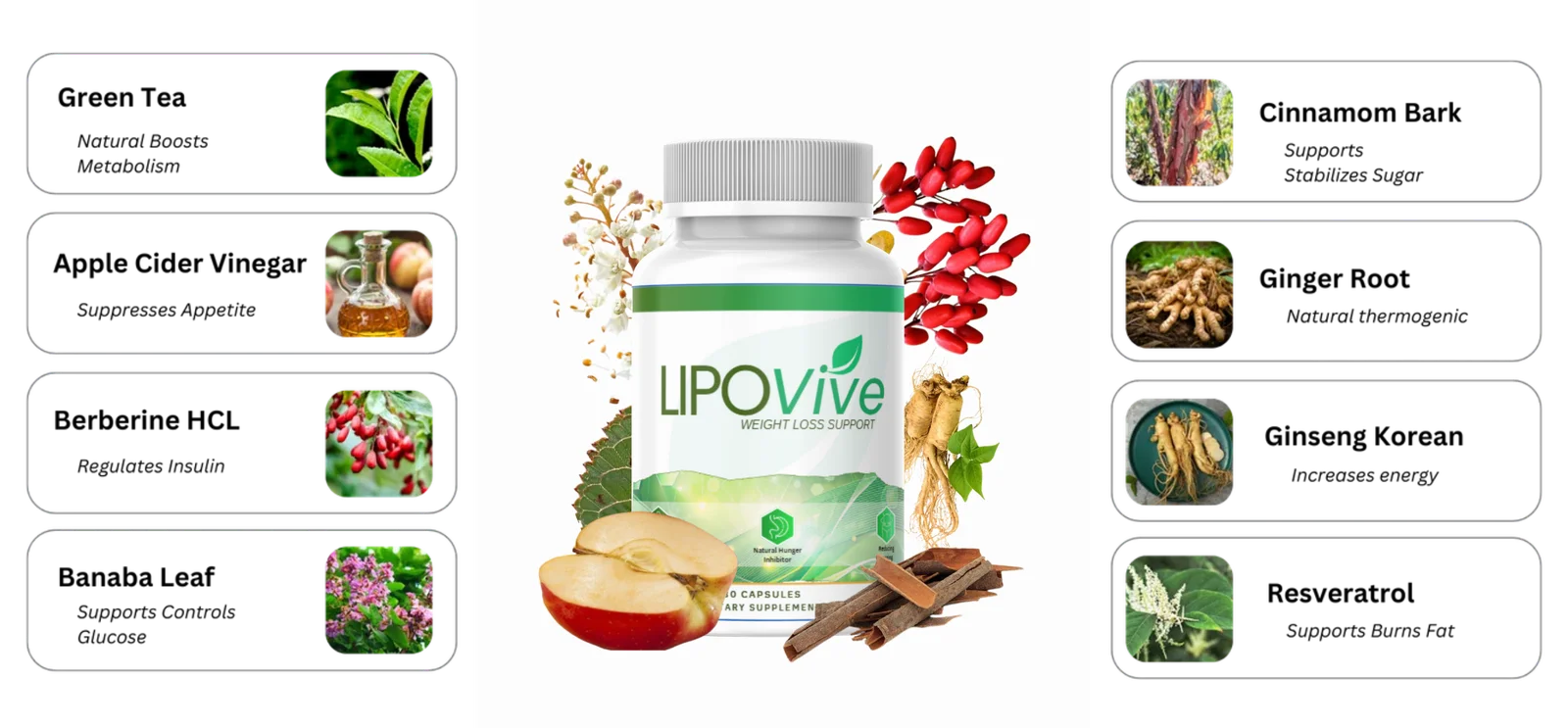 LipoVive Buy